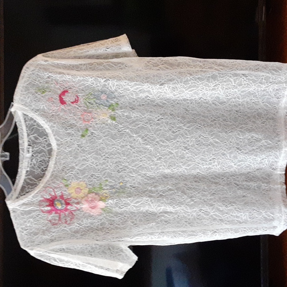 Zara sheer floral top